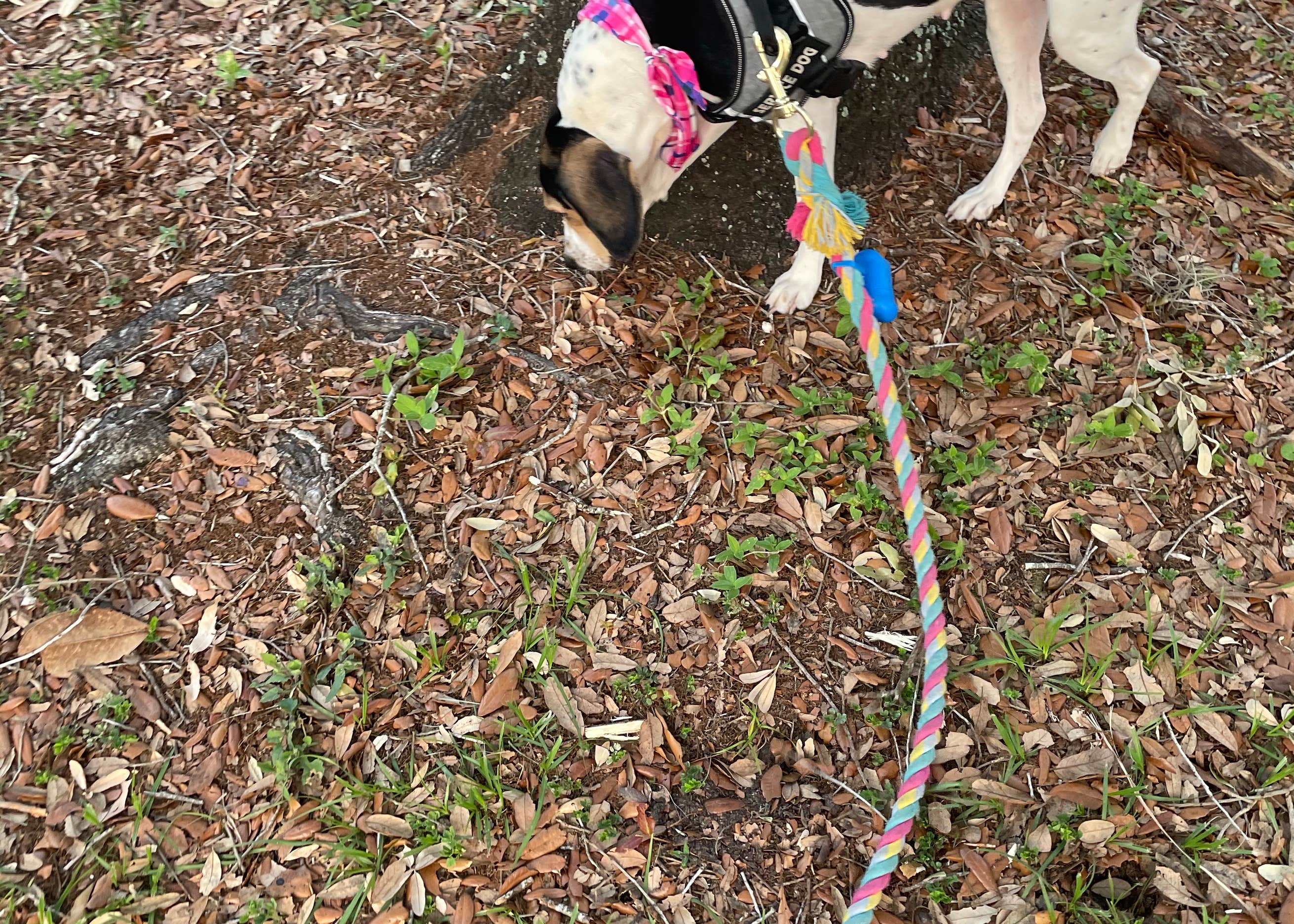 Fort Belvoir Travel and RV Camp Camping The Dyrt