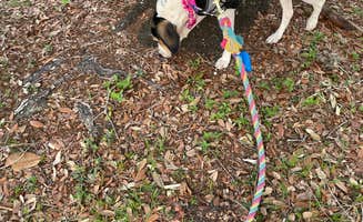 Katia G.'s photo of camping with pets at Fort Belvoir Travel and RV Camp near Clinton, MD