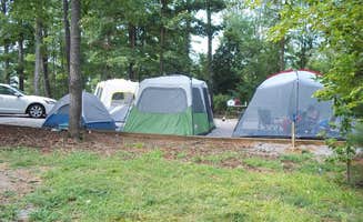 Marcy S.'s photo at North Bend Park near Weldon, NC