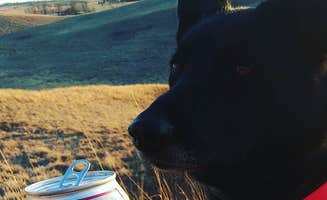 mark M.'s photo of camping with pets at Glacial Lakes State Park Campground in Minnesota