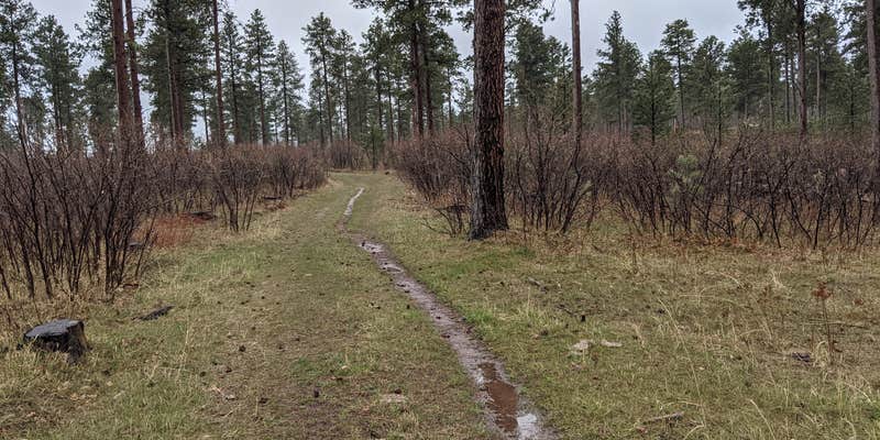 Camper submitted image from Free dry camping