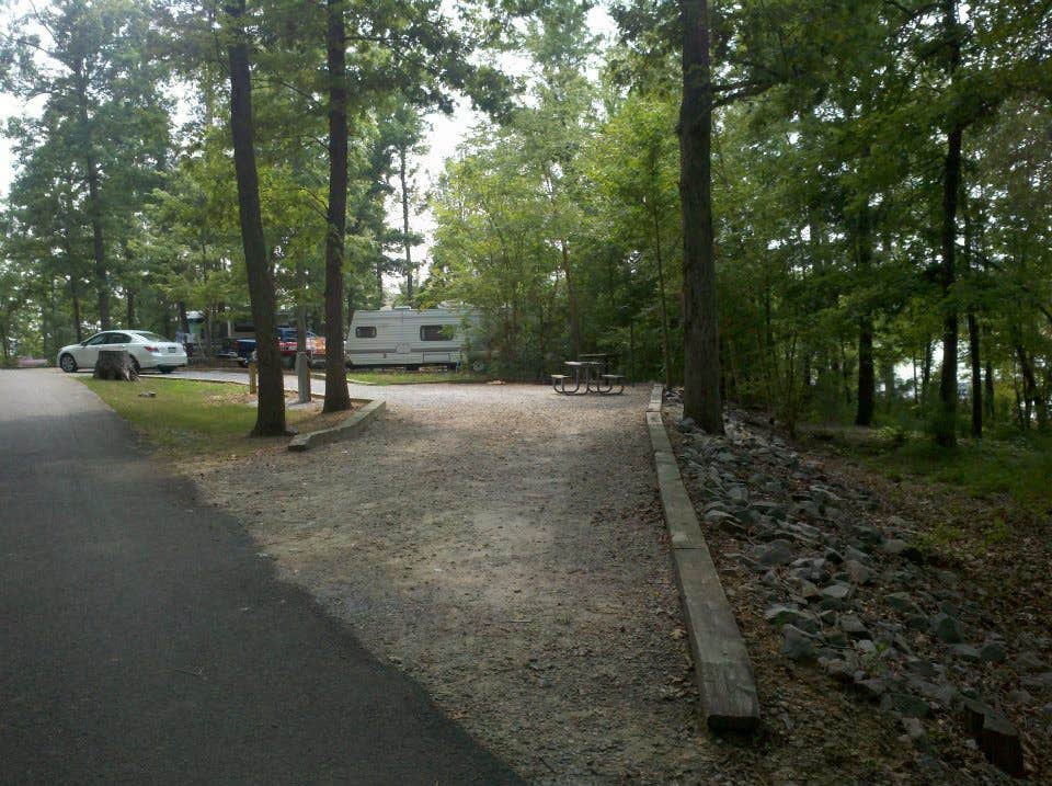 Camper submitted image from North Bend Park - 4