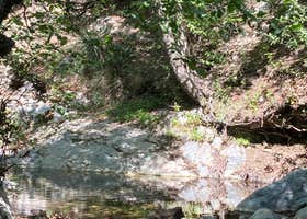 Bear Canyon Campground