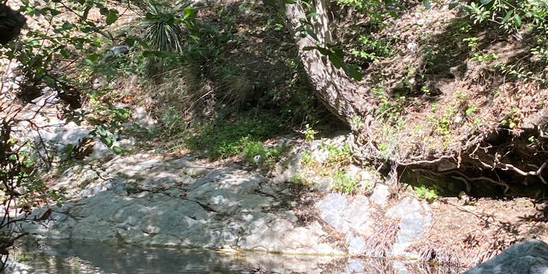 Camper submitted image from Bear Canyon Campground