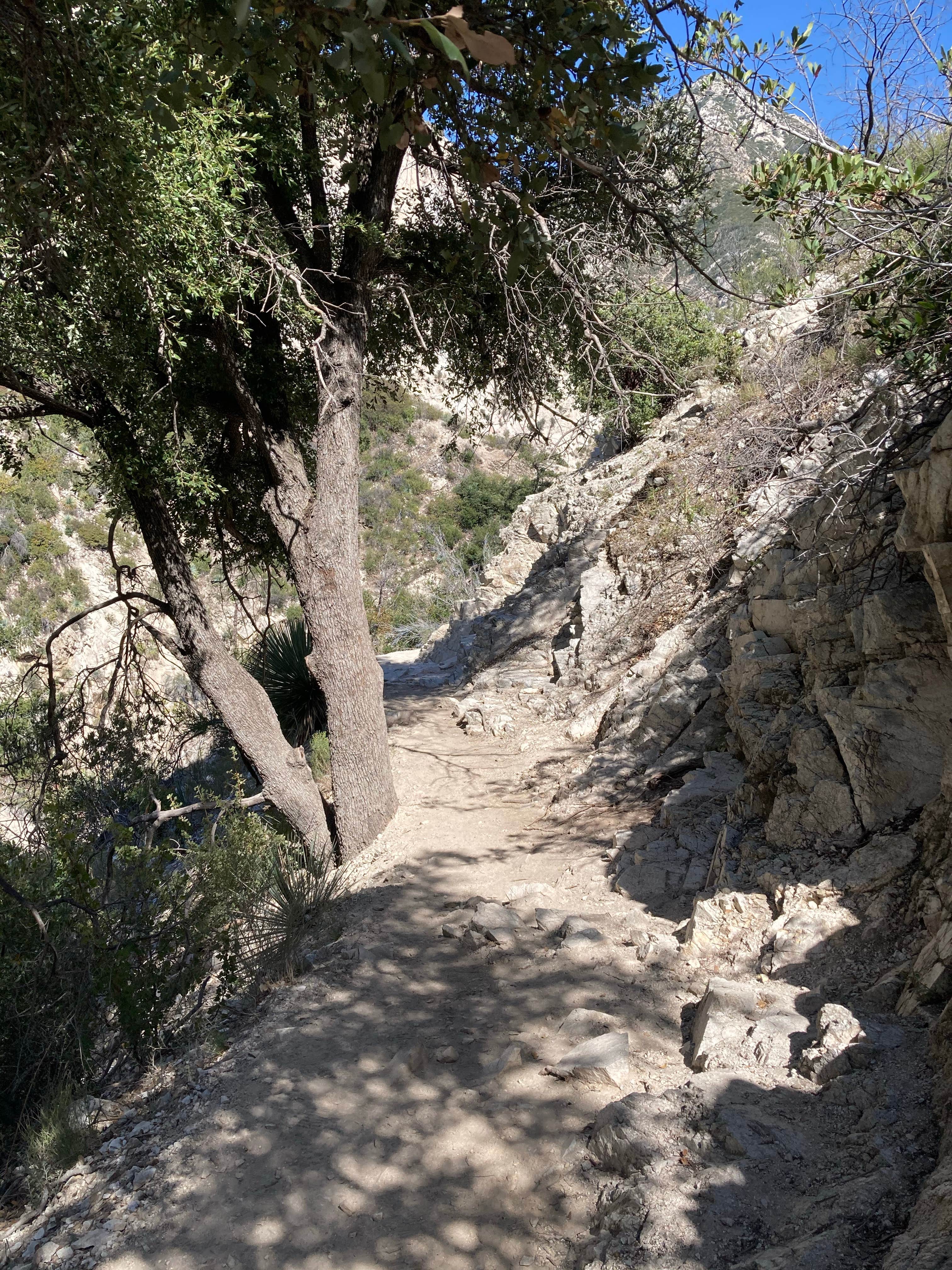 Bear canyon 2025 trail camp