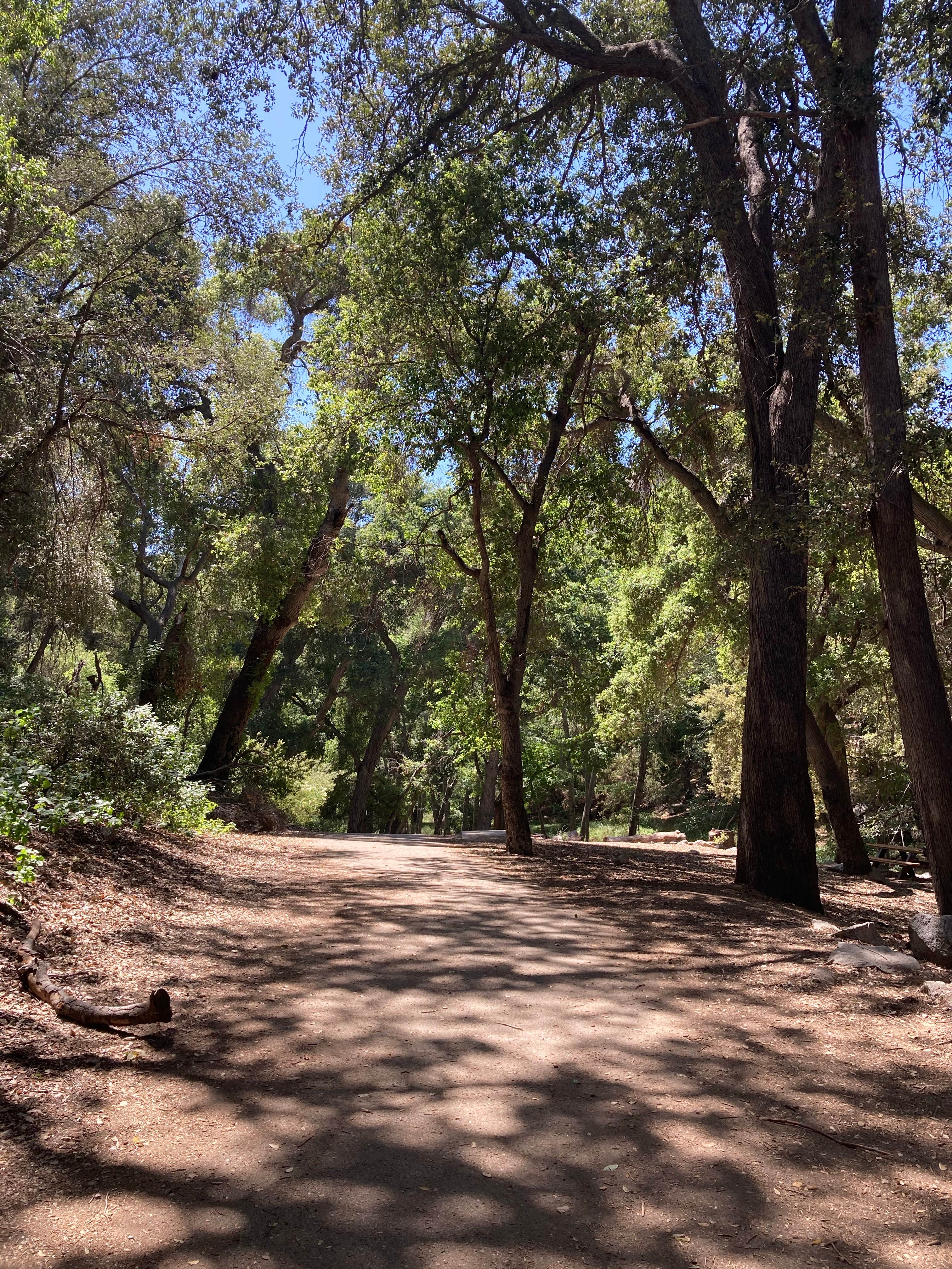 Oakwilde campground clearance