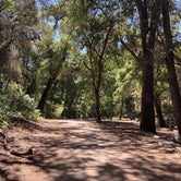 Review photo of Bear Canyon Campground by Shannon E., May 6, 2021