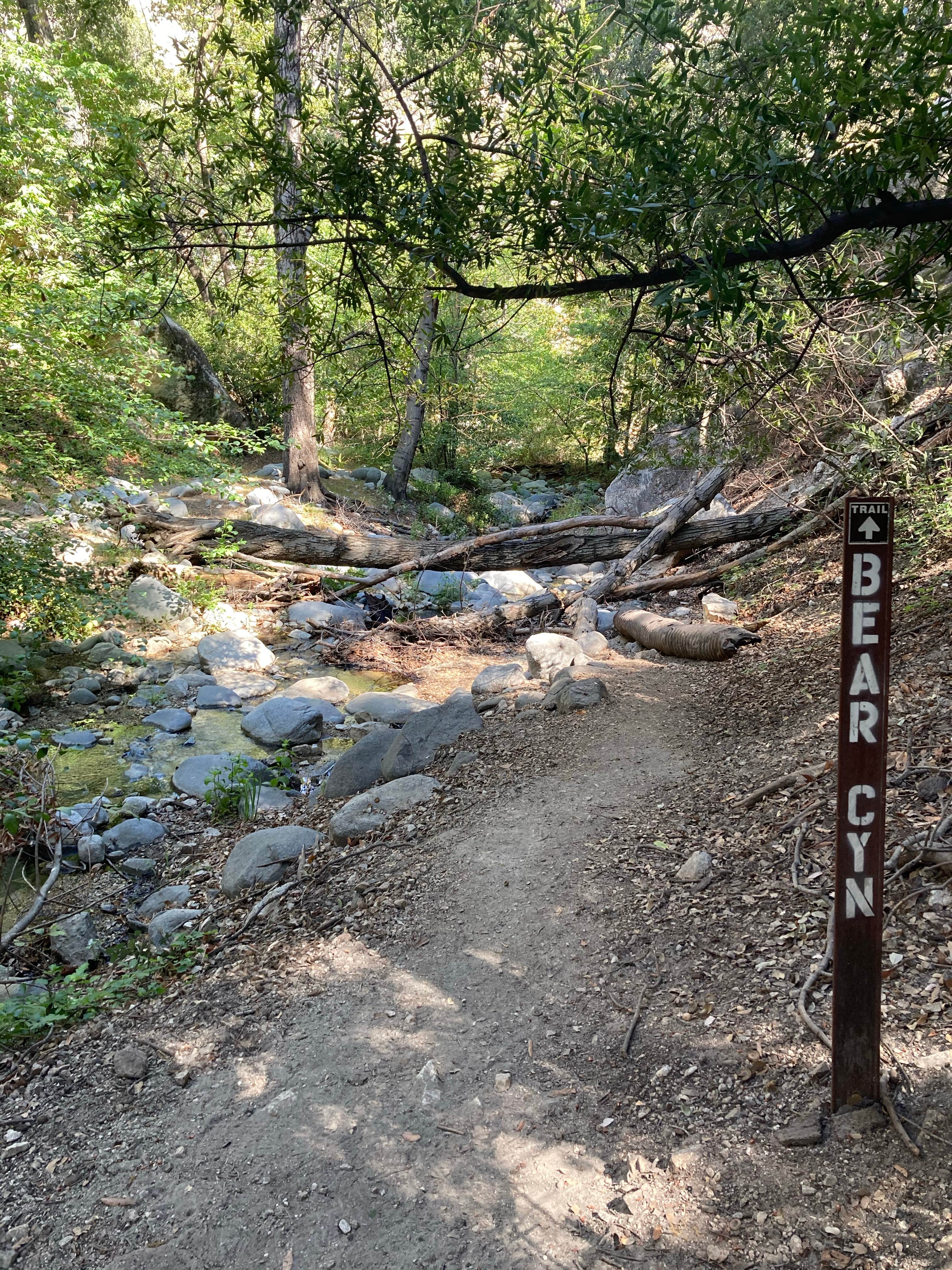 Camper-submitted photo at Bear Canyon Campground near La Puente, CA