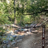 Review photo of Bear Canyon Campground by Shannon E., May 6, 2021