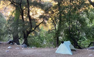 Shannon E.'s photo at Bear Canyon Campground near Los Angeles, CA