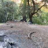 Review photo of Bear Canyon Campground by Shannon E., May 6, 2021