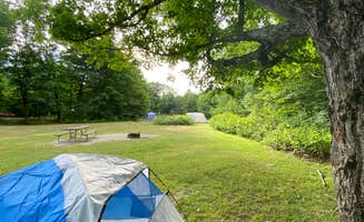 sadjad's photo at Zealand Campground near Bretton Woods, NH