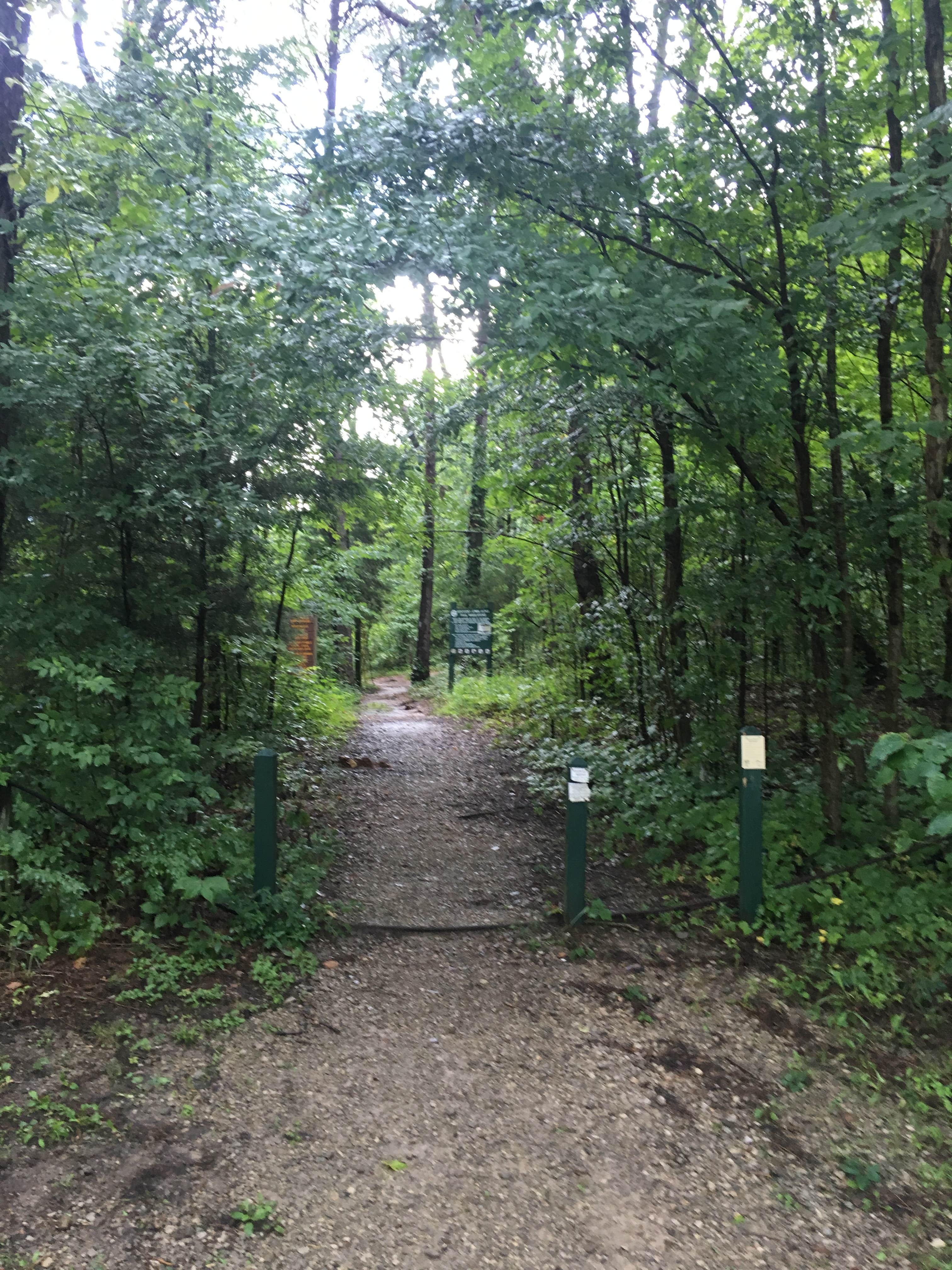 Camper submitted image from Nolin Lake State Park Campground - 4