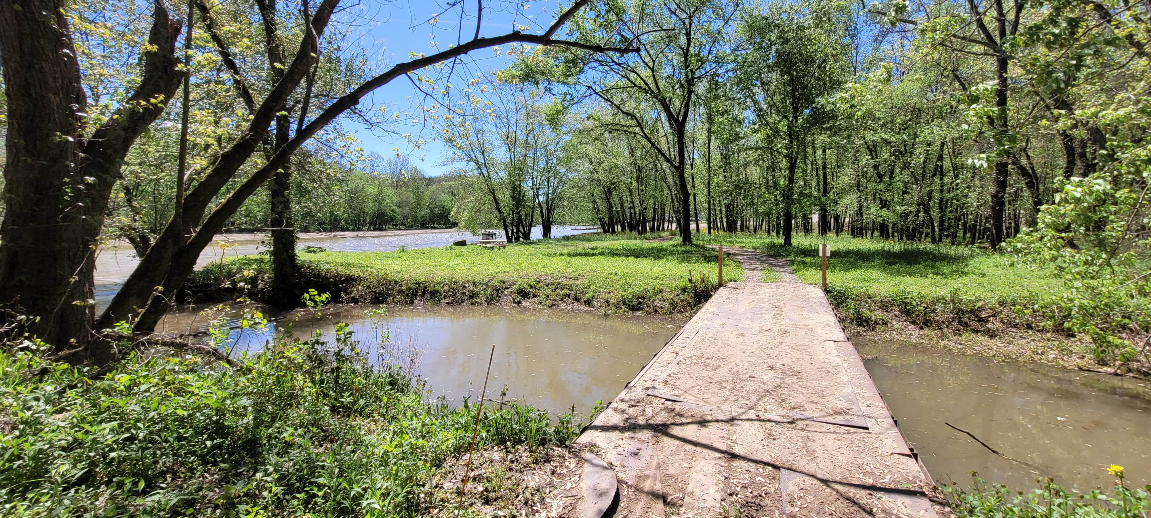 Camper submitted image from Lawrence Creek - 3