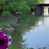 Review photo of Lawrence Creek by Sallie M., May 6, 2021