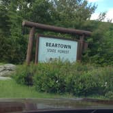 Review photo of Beartown State Forest Campground by Patricia E., July 14, 2016