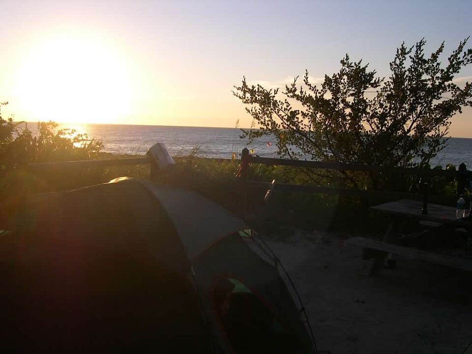 Izzy H.'s photo at Rustic RV near Big Pine Key, FL