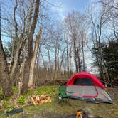 Review photo of Mt. Greylock Campsite Park by Todd G., May 6, 2021