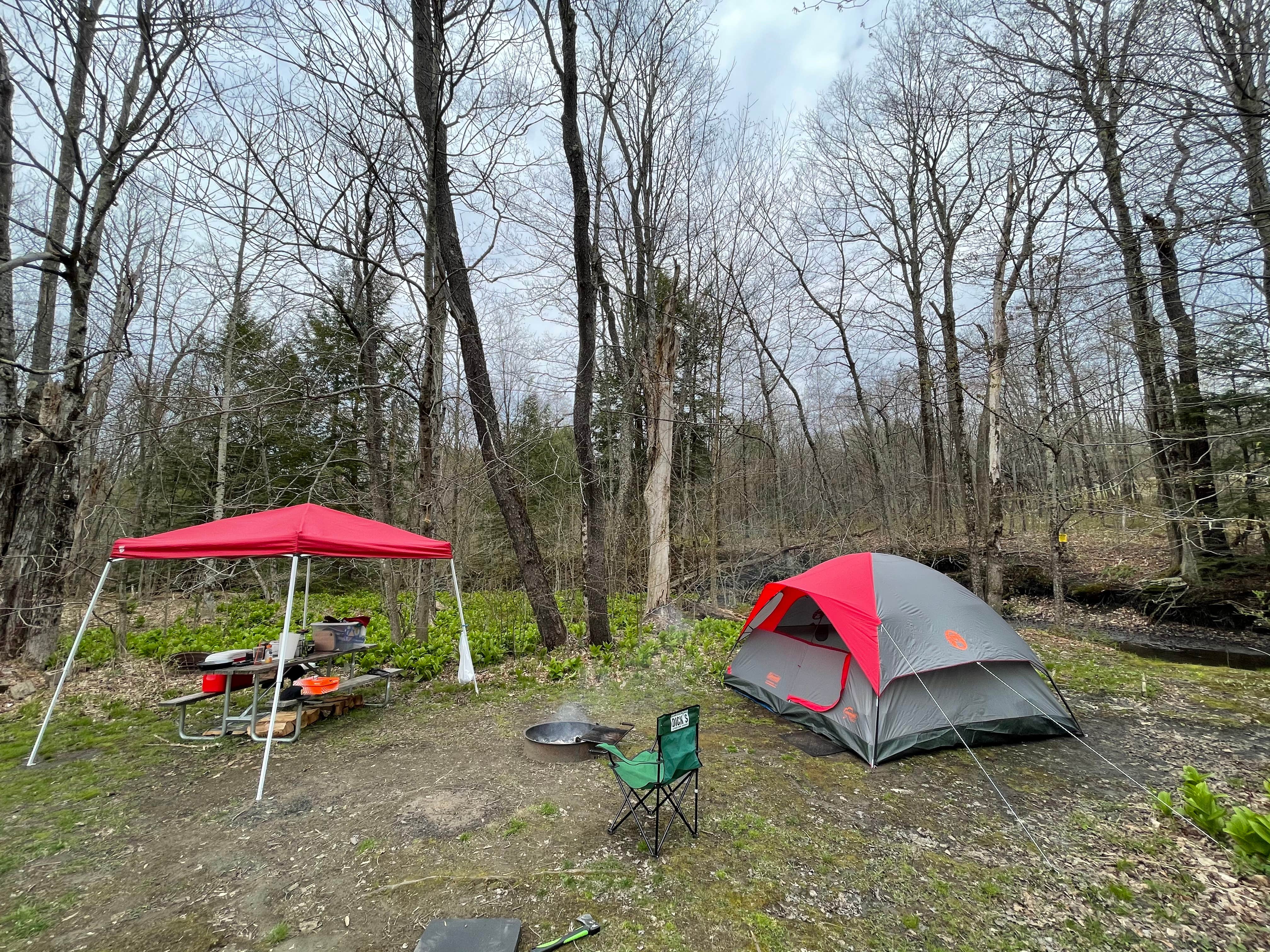 Todd G.'s photo at Mt. Greylock Campsite Park near Tanglewood, MA