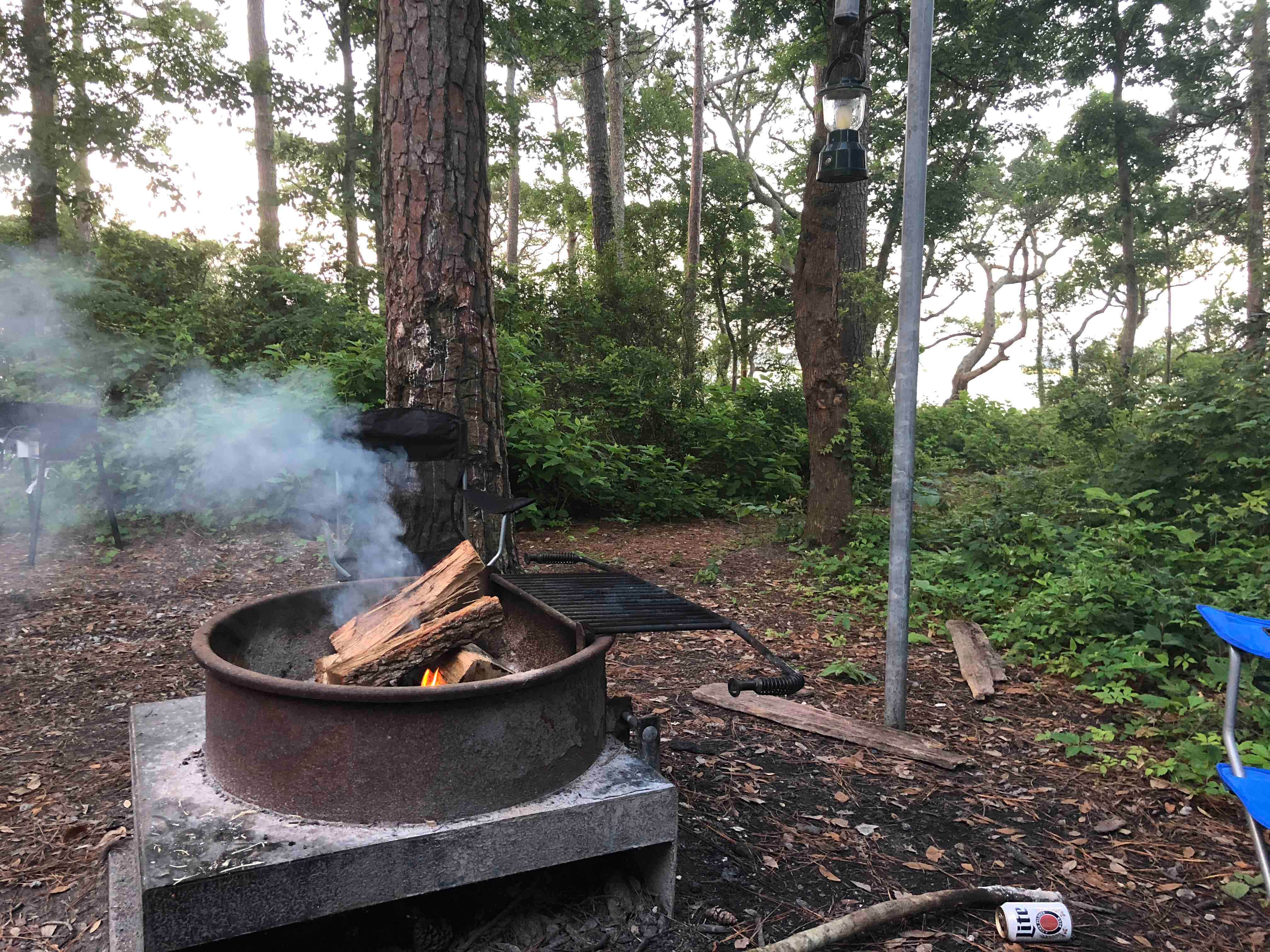 Ronica H.'s photo at Croatan National Forest Oyster Point Campground near Havelock, NC
