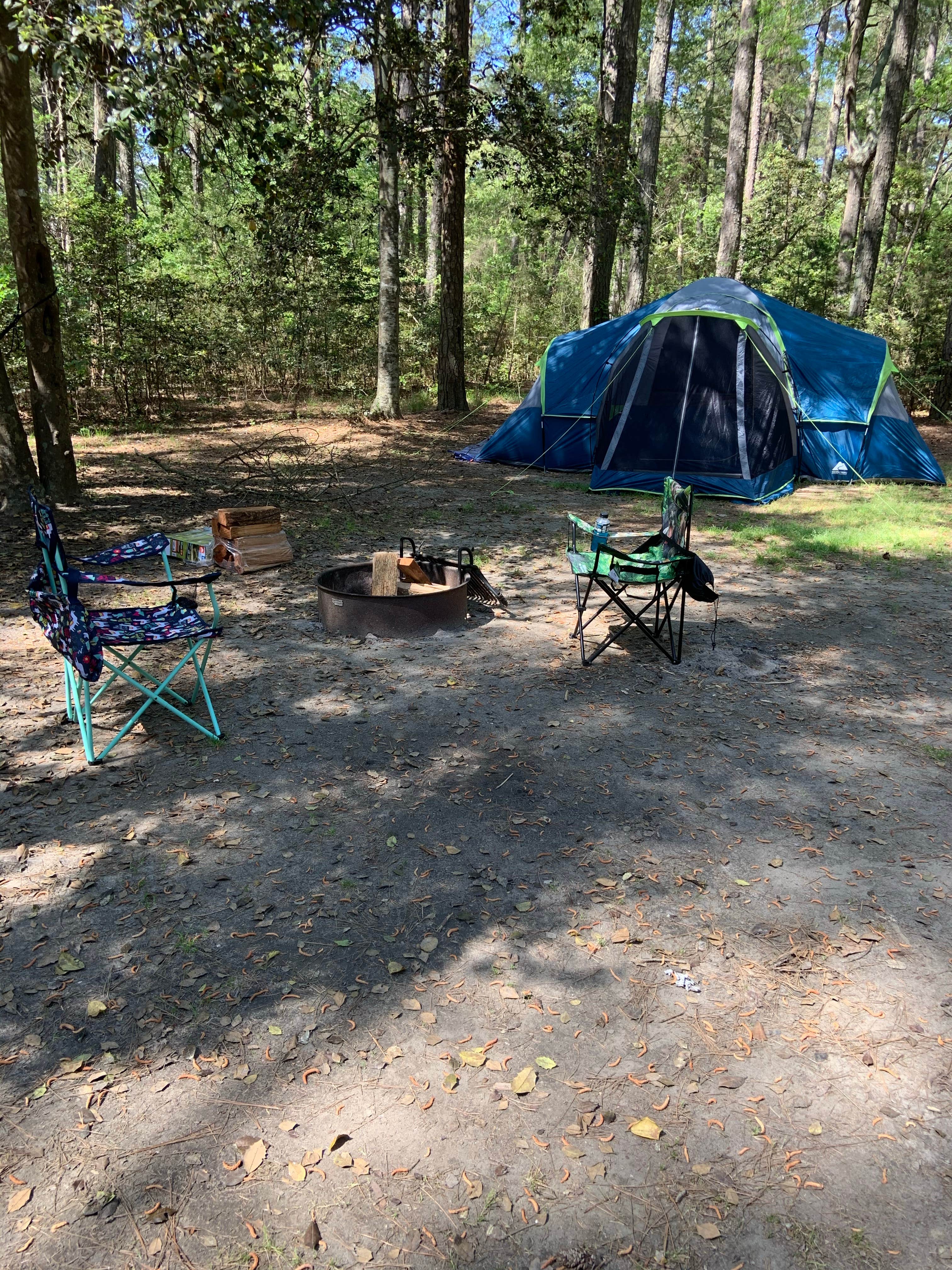 echo's photo at Kiptopeke State Park Campground near Norfolk, VA