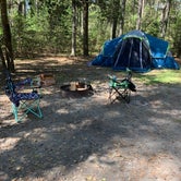 Review photo of Kiptopeke State Park Campground by echo , May 6, 2021