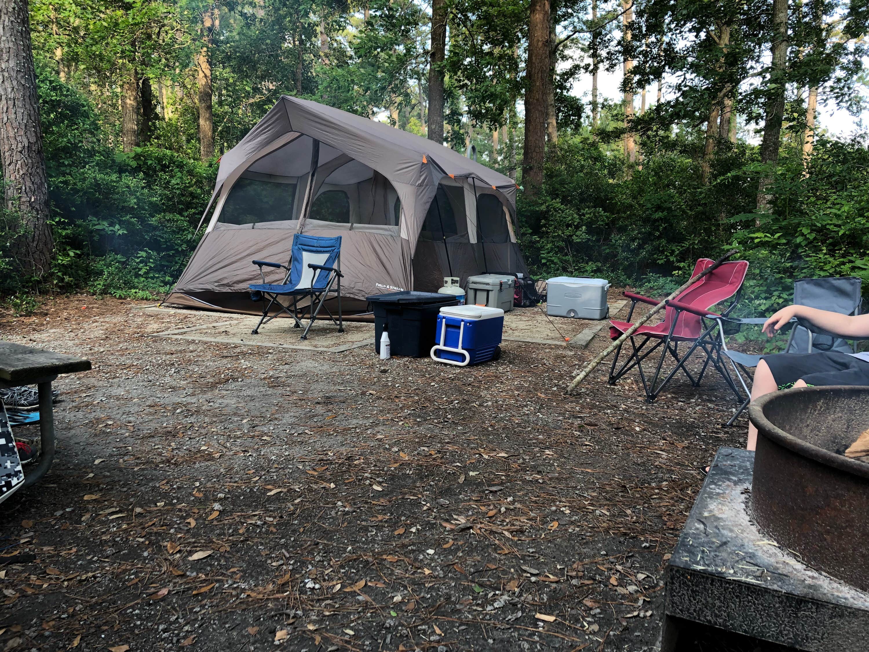 Camper submitted image from Croatan National Forest Oyster Point Campground - 4