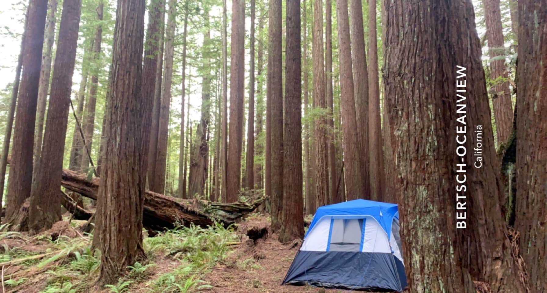 Victoria H.'s photo at Florence Keller Regional Park near Fort Dick, CA