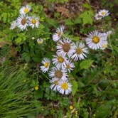 Review photo of Carolina Hemlocks Rec Area by Alexis , May 6, 2021