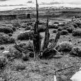 Review photo of Wingate Campground — Dead Horse Point State Park by Joseph B., May 6, 2021