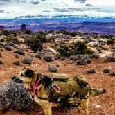 Review photo of Wingate Campground — Dead Horse Point State Park by Joseph B., May 6, 2021