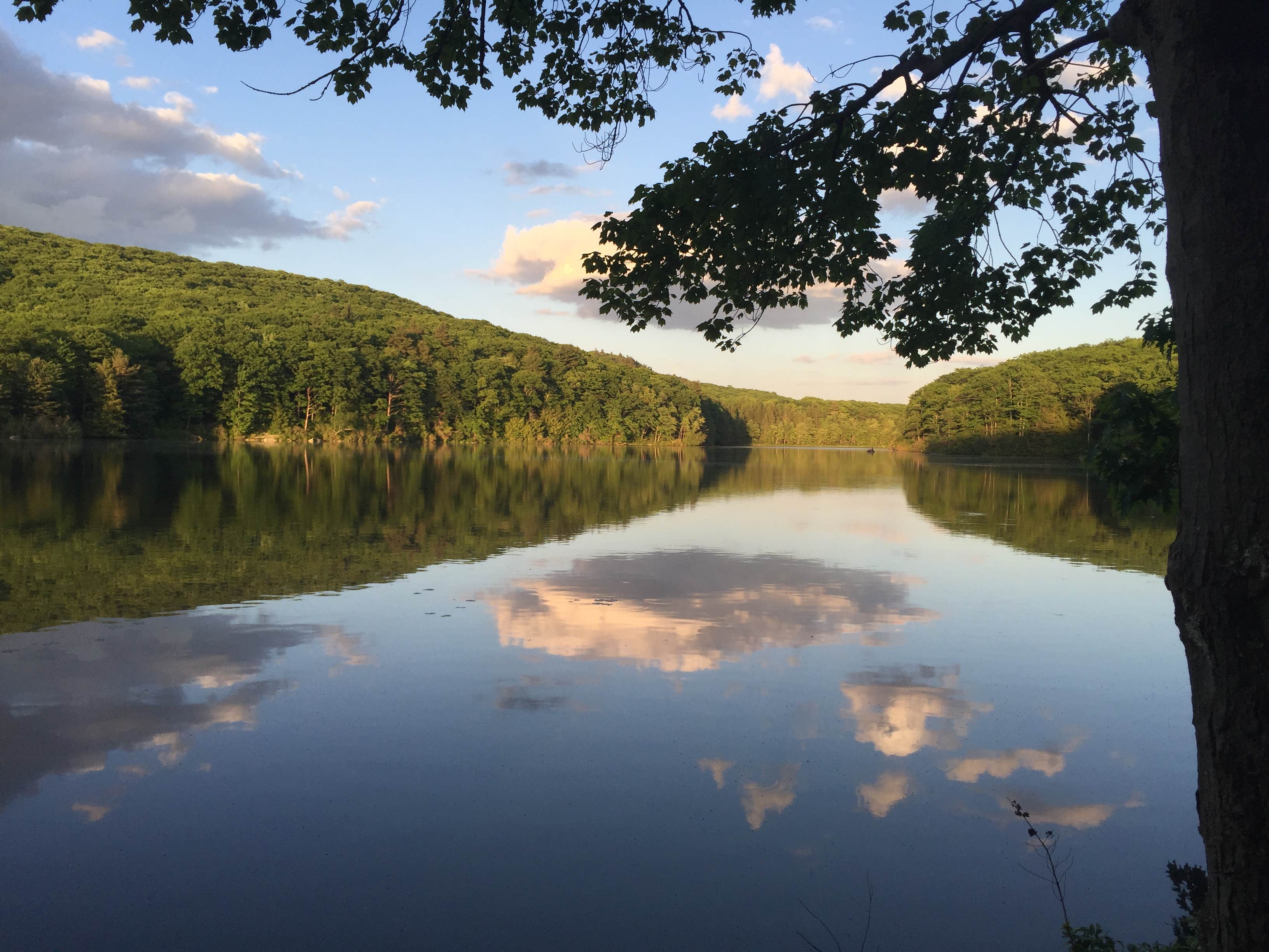 Camper-submitted photo at Beartown State Forest Campground near West Stockbridge, MA