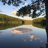Review photo of Beartown State Forest by Patricia E., July 14, 2016