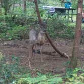 Review photo of Oxbow Regional Park by Mary L., May 6, 2021