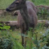 Review photo of Oxbow Regional Park by Mary L., May 6, 2021