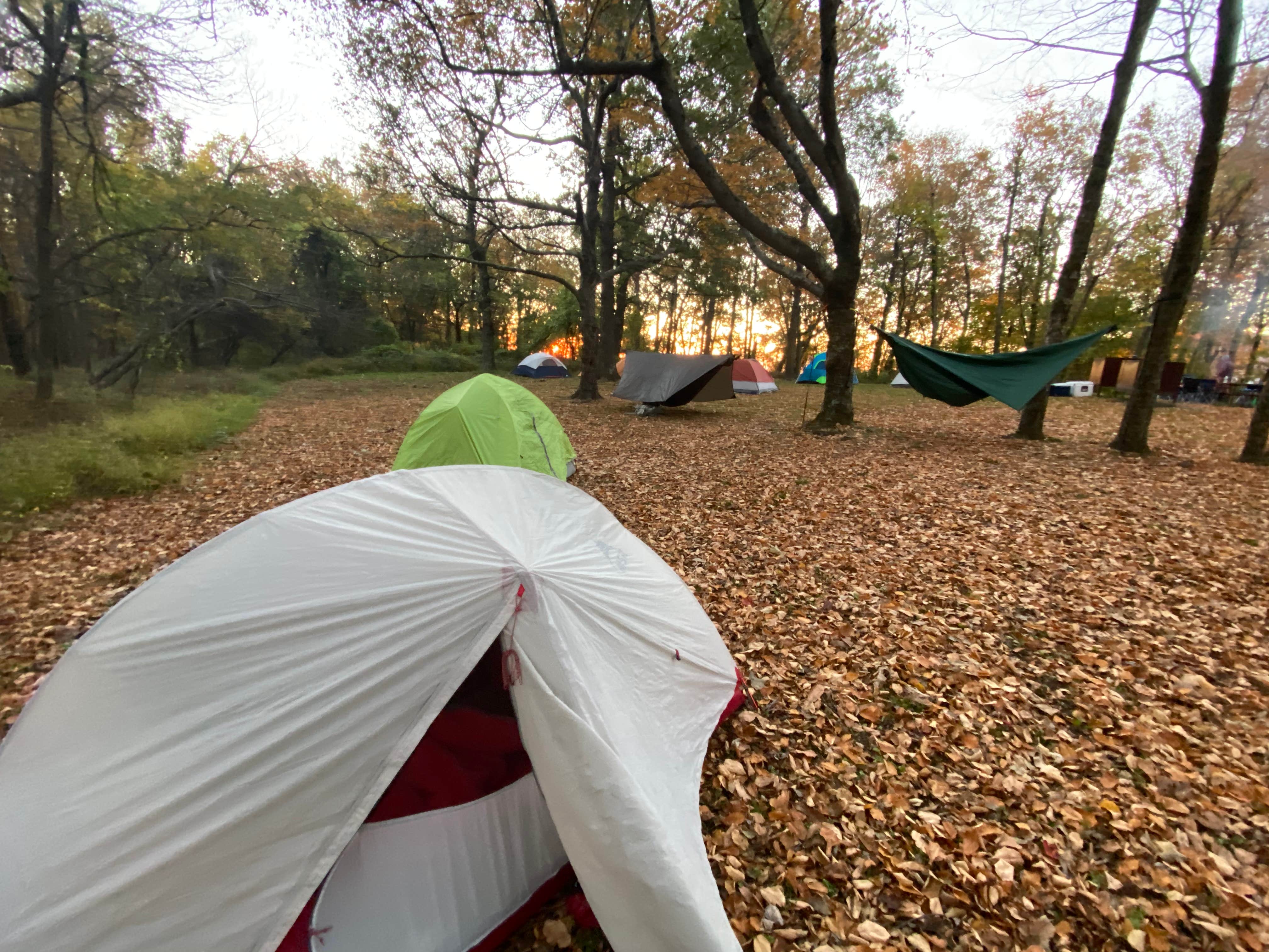 Tyler J.'s photo at Big Meadows Campground — Shenandoah National Park near Hood, VA