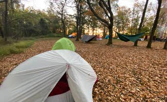 Tyler J.'s photo at Big Meadows Campground — Shenandoah National Park near Dyke, VA