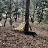 Review photo of Champion Road Dispersed Campsites by Jamie H., May 6, 2021