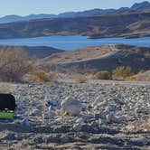 Review photo of Government Wash — Lake Mead National Recreation Area by Jamie H., May 6, 2021