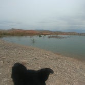 Review photo of Government Wash — Lake Mead National Recreation Area by Jamie H., May 6, 2021