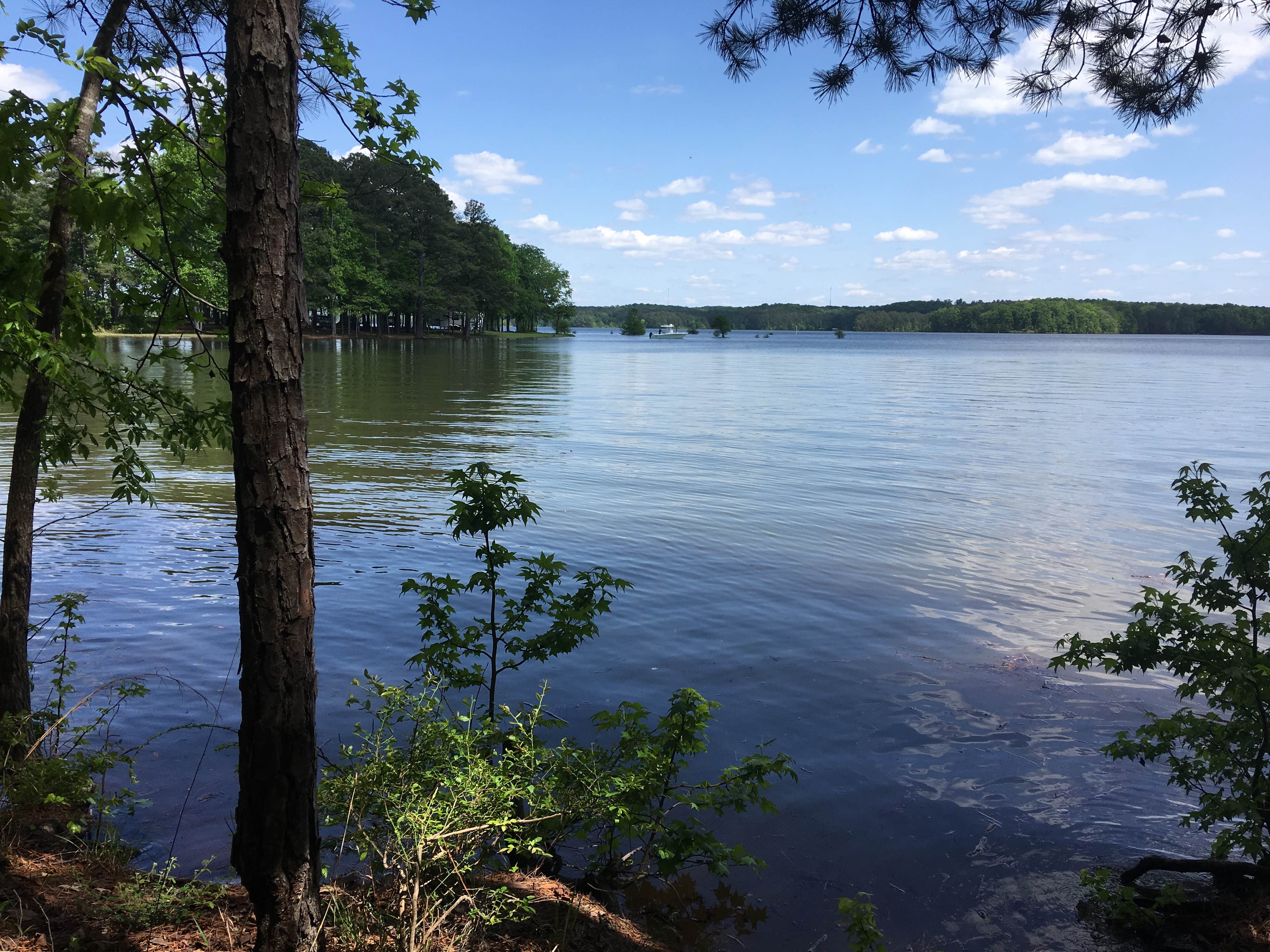 Whitetail Ridge Campground The Dyrt