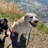 Review photo of Glenwood Springs West/Colorado River KOA by RichMichelle M., May 6, 2021
