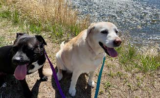 RichMichelle M.'s photo of camping with pets at Glenwood Springs West/Colorado River KOA near Glenwood Springs, CO