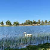 Review photo of Rancho Seco Recreation Area by Angel S., May 6, 2021