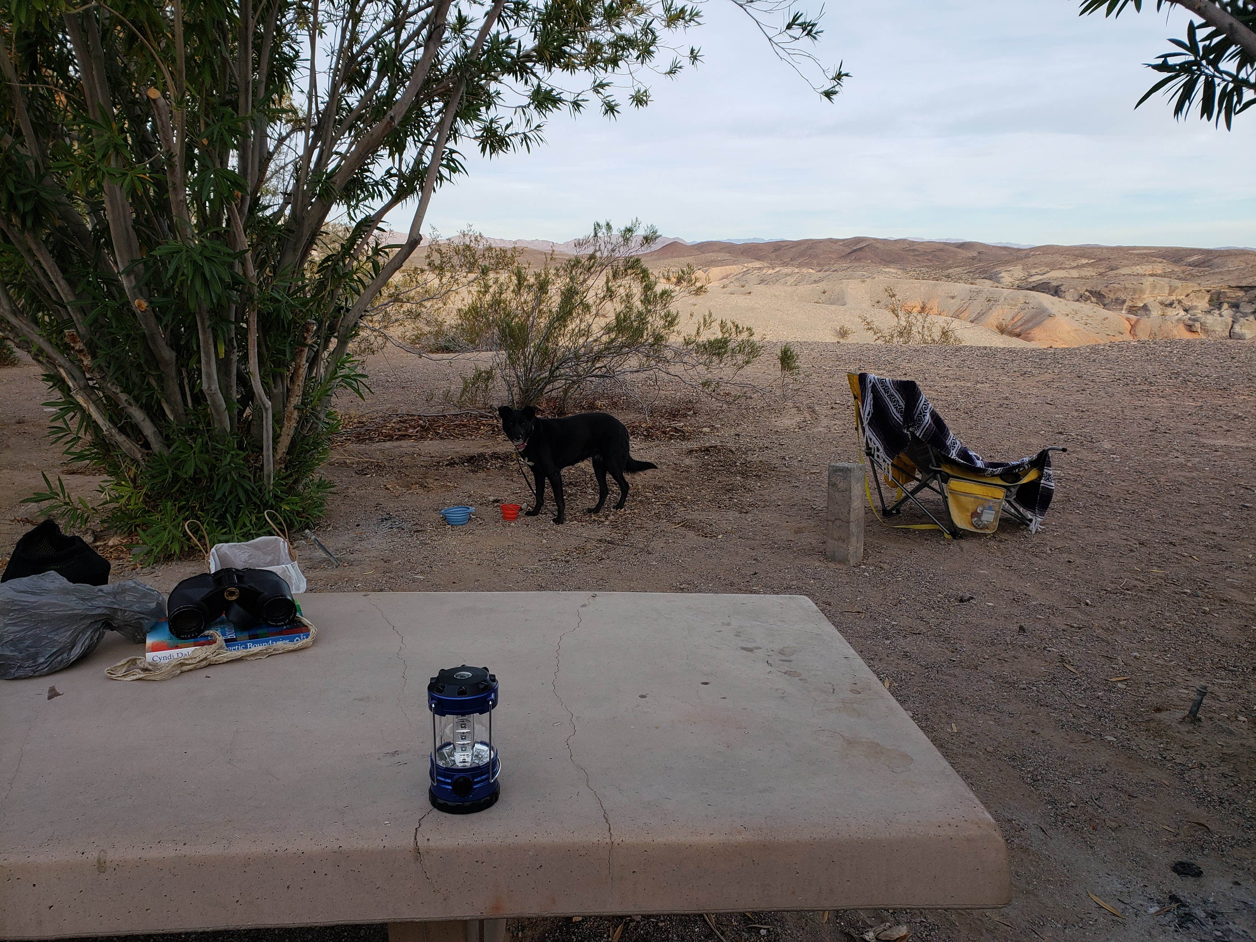 Camper-submitted photo at Las Vegas Bay Campground — Lake Mead National Recreation Area near Henderson, NV