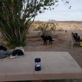 Review photo of Las Vegas Bay Campground — Lake Mead National Recreation Area by Jamie H., May 6, 2021