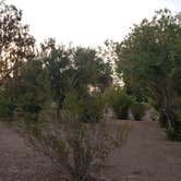 Review photo of Las Vegas Bay Campground — Lake Mead National Recreation Area by Jamie H., May 6, 2021