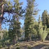 Review photo of McWilliams Campground by Jamie H., May 6, 2021