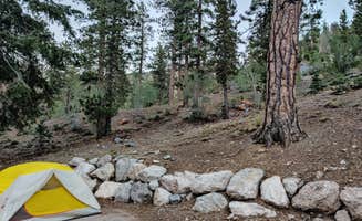 Jamie H.'s photo at McWilliams Campground near Blue Diamond, NV