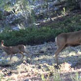 Review photo of McWilliams Campground by Jamie H., May 6, 2021